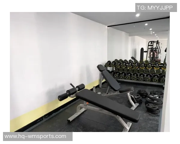 探索国产十大健身器材品牌的实力与创新助力健康生活新风尚